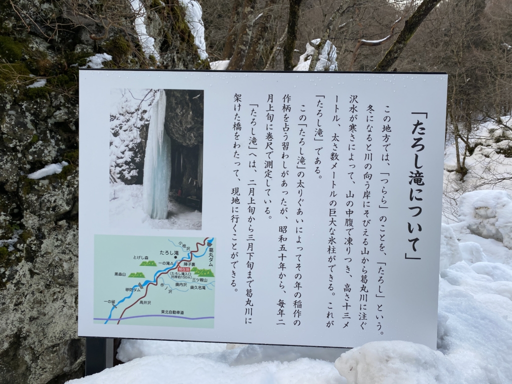 たろし滝(岩手)はどこを見て稲の作柄を占うのか？測定時期と行き方も 