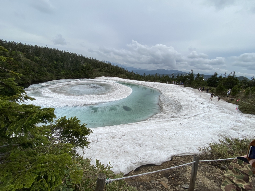 ドラゴンアイ 八幡平 おすすめの服装 見頃時期やアクセス方法も